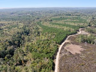 0 Cox Hollow, Dover, TN 37058