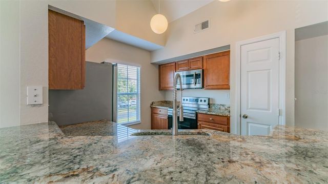 10568 WINDSOR LAKE COURT, Tampa, FL 33626