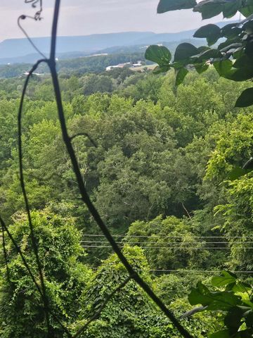 0 Old Jasper Road, South Pittsburg, TN 37380