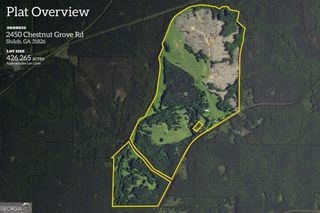 2450 Chestnut Grove Road, Shiloh, GA 31826