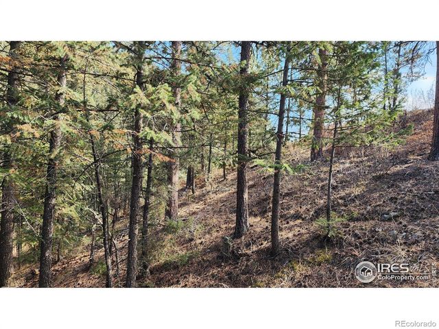 84 Copper Hill Road, Glen Haven, CO 80532