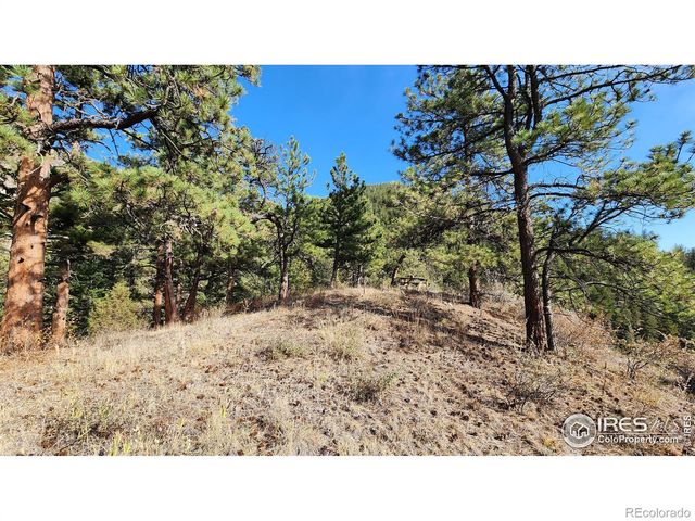 84 Copper Hill Road, Glen Haven, CO 80532