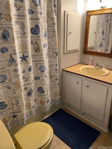 69 Circle T Road, Mount Ida, AR 71957