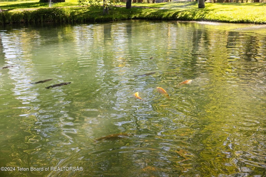 535 SWAN LANE, Irwin, ID 83428 photo 16