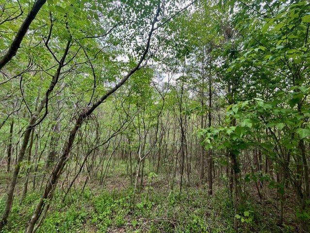 Lot 28 Eastside Drive, Ellijay, GA 30536