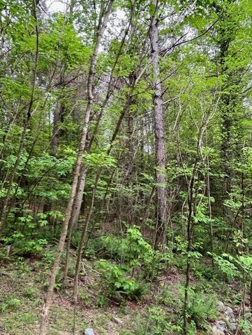 Lot 28 Eastside Drive, Ellijay, GA 30536