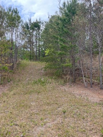 Lot 28 Eastside Drive, Ellijay, GA 30536