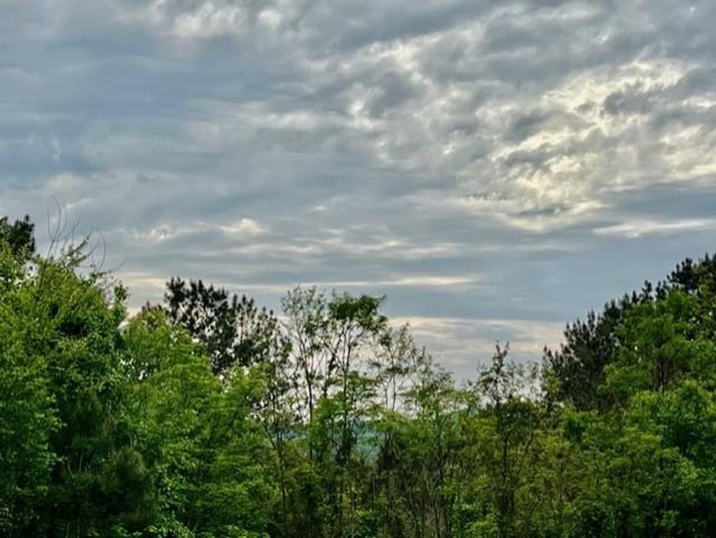 Lot 28 Eastside Drive, Ellijay, GA 30536