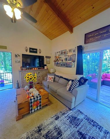 2881 Birch Ct, Camino, CA 95709