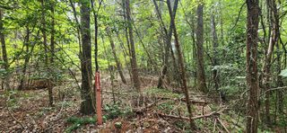 lt 42-43 Old Mill Pond Road, Mineral Bluff, GA 30559