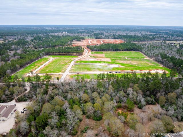 12346 Mccrorey Trails Court, Conroe, TX 77303