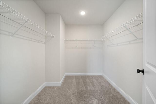 224 Palfrey Drive, Ridgeville, SC 29472