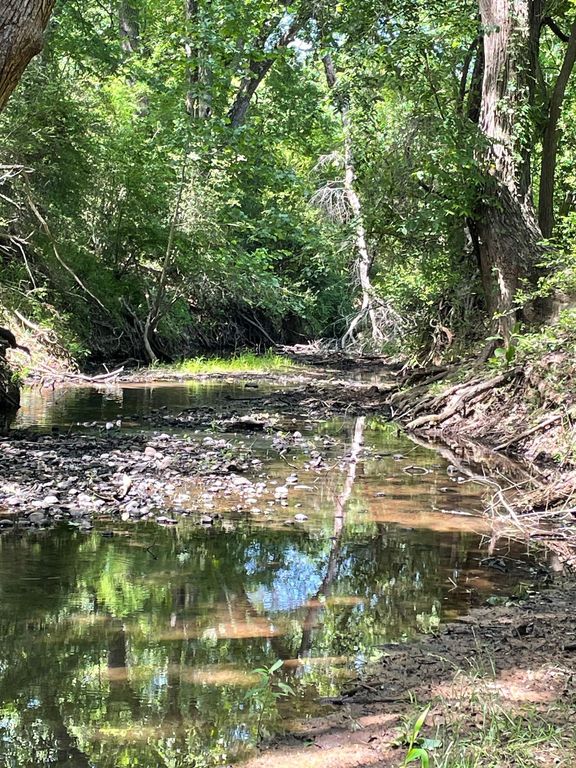 TBD 144.45 acres, Smithville, TX 78957