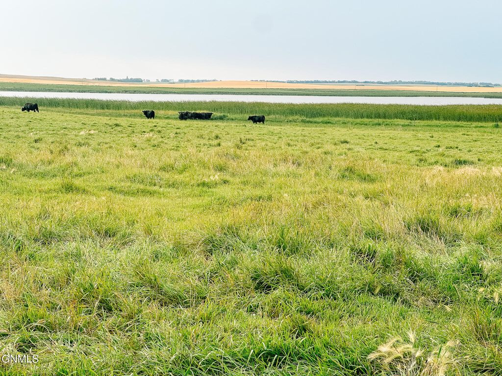 679 38th Avenue NE, Bowdon, ND 58418 photo 196