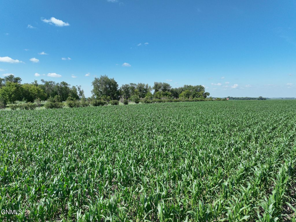 679 38th Avenue NE, Bowdon, ND 58418 photo 4