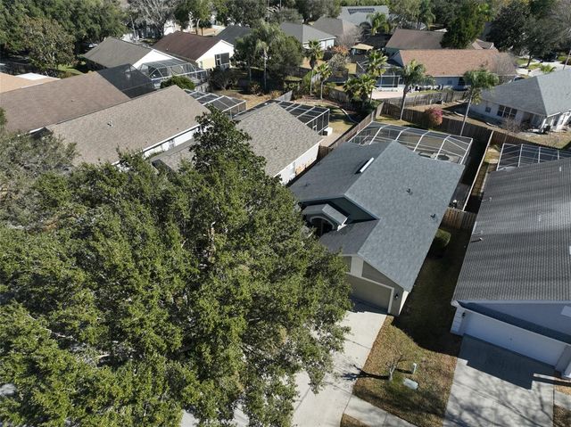 19512 MORDEN BLUSH DRIVE, Lutz, FL 33558