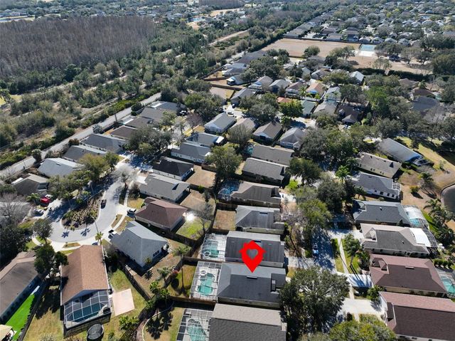 19512 MORDEN BLUSH DRIVE, Lutz, FL 33558