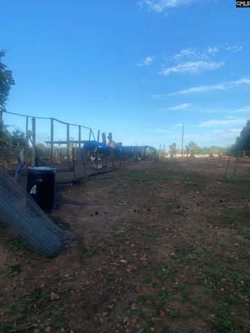 1253 Sam Koon Road, Chapin, SC 29036