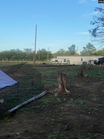 1253 Sam Koon Road, Chapin, SC 29036