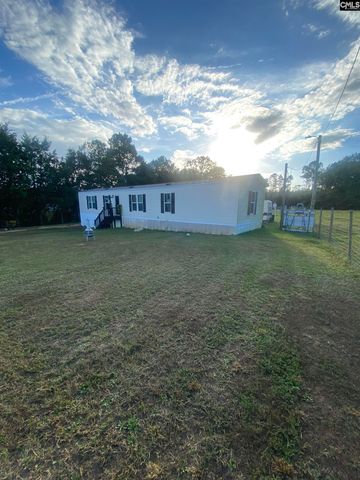 1253 Sam Koon Road, Chapin, SC 29036