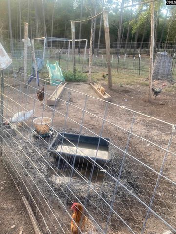 1253 Sam Koon Road, Chapin, SC 29036