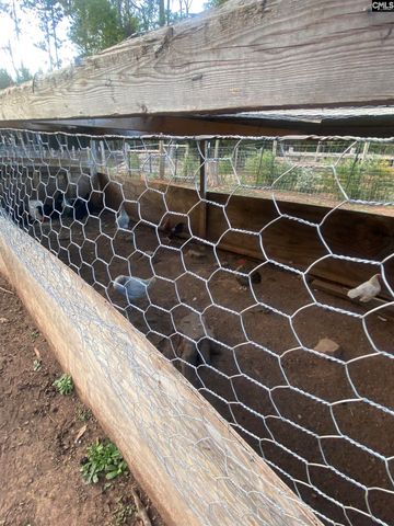 1253 Sam Koon Road, Chapin, SC 29036