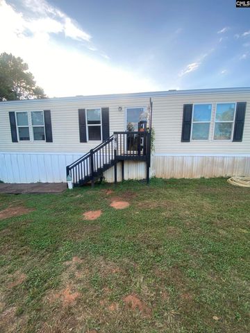 1253 Sam Koon Road, Chapin, SC 29036