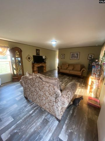 1253 Sam Koon Road, Chapin, SC 29036