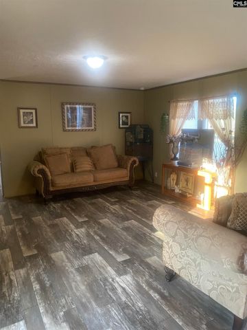 1253 Sam Koon Road, Chapin, SC 29036