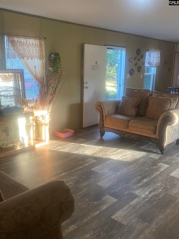 1253 Sam Koon Road, Chapin, SC 29036