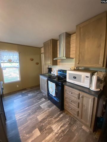 1253 Sam Koon Road, Chapin, SC 29036