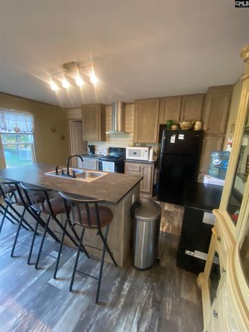 1253 Sam Koon Road, Chapin, SC 29036