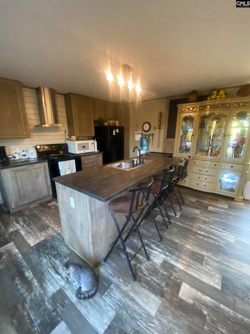 1253 Sam Koon Road, Chapin, SC 29036