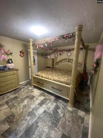 1253 Sam Koon Road, Chapin, SC 29036