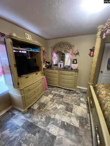 1253 Sam Koon Road, Chapin, SC 29036