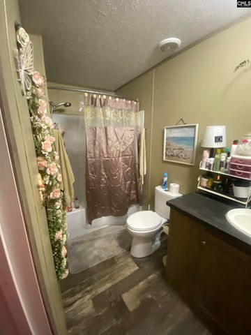 1253 Sam Koon Road, Chapin, SC 29036