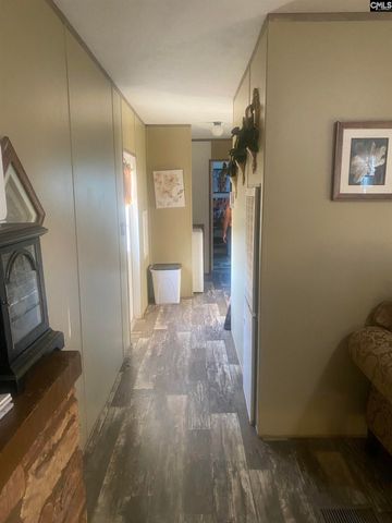 1253 Sam Koon Road, Chapin, SC 29036