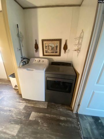 1253 Sam Koon Road, Chapin, SC 29036