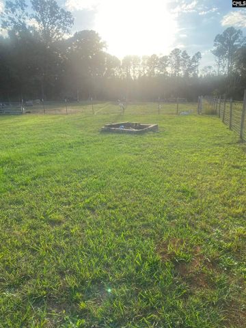 1253 Sam Koon Road, Chapin, SC 29036