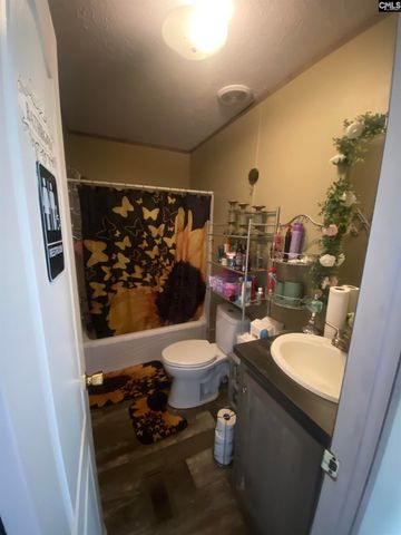 1253 Sam Koon Road, Chapin, SC 29036