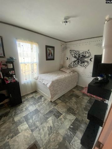 1253 Sam Koon Road, Chapin, SC 29036