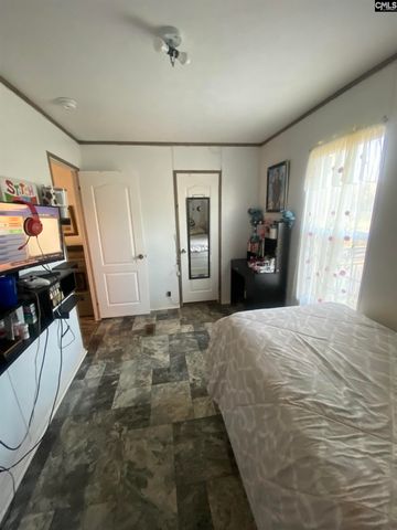 1253 Sam Koon Road, Chapin, SC 29036