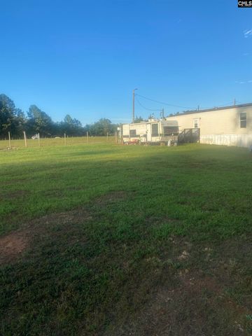 1253 Sam Koon Road, Chapin, SC 29036