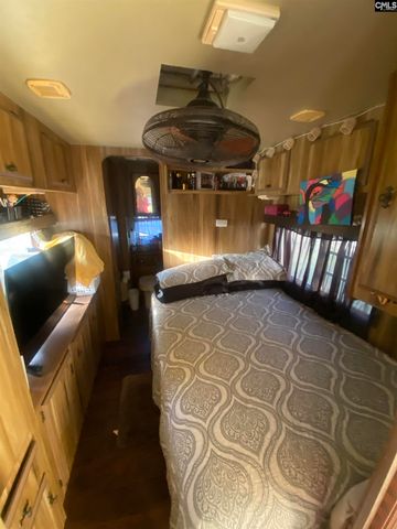 1253 Sam Koon Road, Chapin, SC 29036