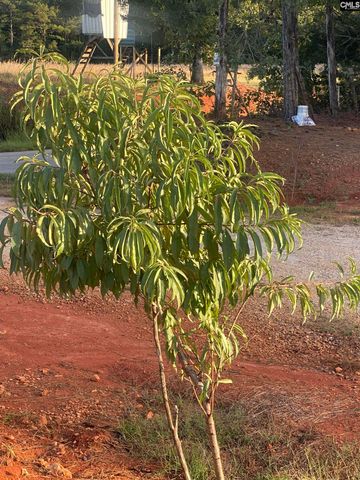 1253 Sam Koon Road, Chapin, SC 29036