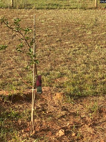 1253 Sam Koon Road, Chapin, SC 29036