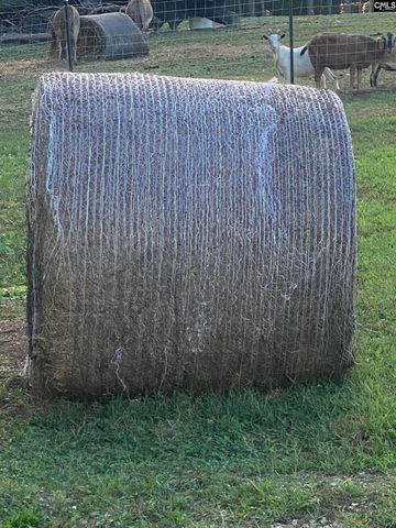 1253 Sam Koon Road, Chapin, SC 29036