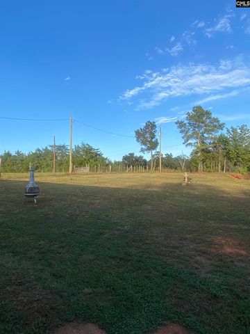1253 Sam Koon Road, Chapin, SC 29036