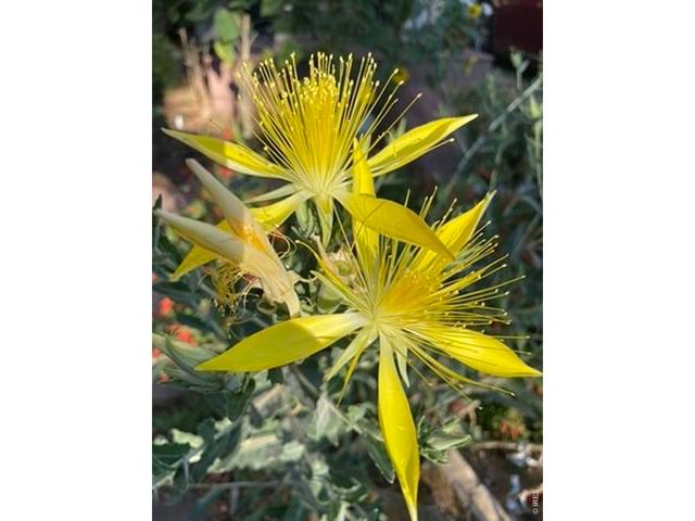 1111 Utica Cir, Boulder, CO 80304