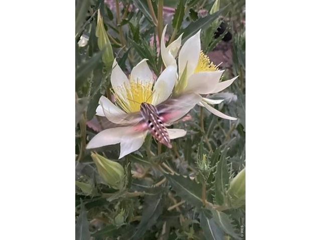 1111 Utica Cir, Boulder, CO 80304